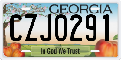 GA license plate CZJ0291
