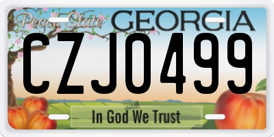 GA license plate CZJ0499
