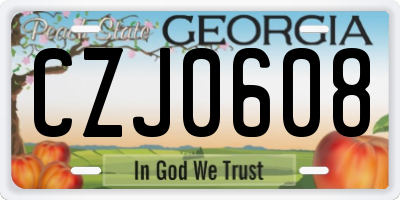 GA license plate CZJ0608