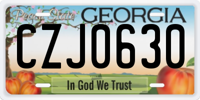GA license plate CZJ0630