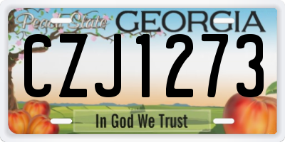 GA license plate CZJ1273