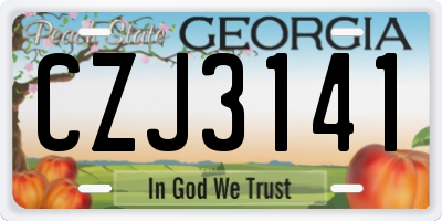 GA license plate CZJ3141