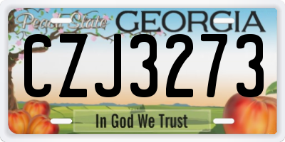 GA license plate CZJ3273