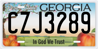 GA license plate CZJ3289