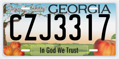 GA license plate CZJ3317