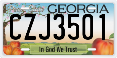 GA license plate CZJ3501