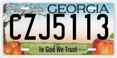 GA license plate CZJ5113