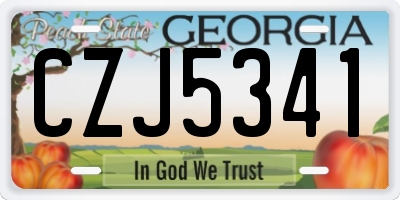 GA license plate CZJ5341