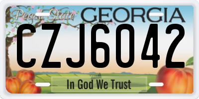 GA license plate CZJ6042