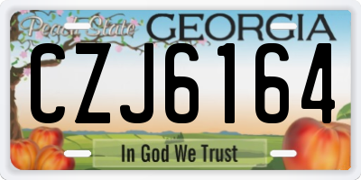 GA license plate CZJ6164