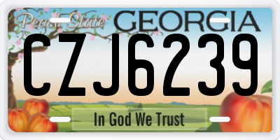 GA license plate CZJ6239