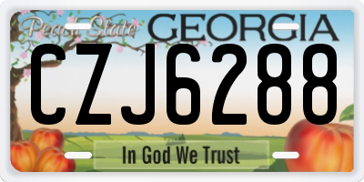 GA license plate CZJ6288