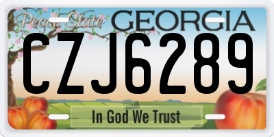 GA license plate CZJ6289