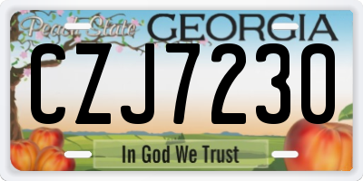 GA license plate CZJ7230