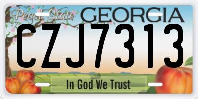GA license plate CZJ7313