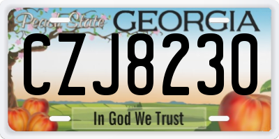 GA license plate CZJ8230