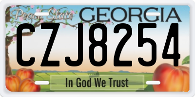 GA license plate CZJ8254