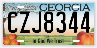 GA license plate CZJ8344