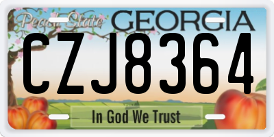 GA license plate CZJ8364