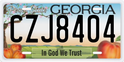 GA license plate CZJ8404