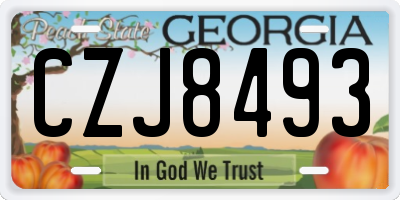 GA license plate CZJ8493