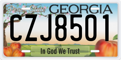 GA license plate CZJ8501