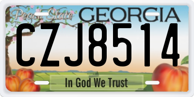 GA license plate CZJ8514