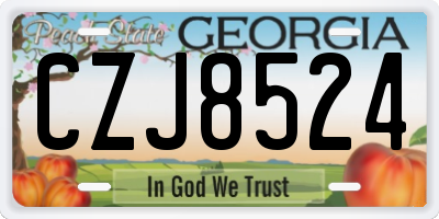 GA license plate CZJ8524