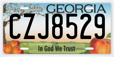 GA license plate CZJ8529