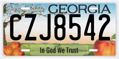 GA license plate CZJ8542