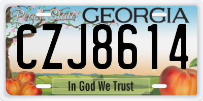 GA license plate CZJ8614