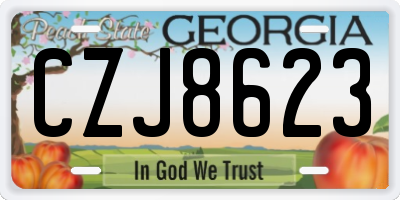 GA license plate CZJ8623