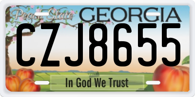 GA license plate CZJ8655