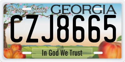 GA license plate CZJ8665