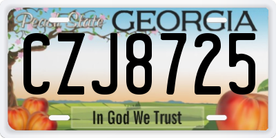 GA license plate CZJ8725