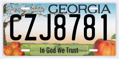 GA license plate CZJ8781