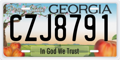 GA license plate CZJ8791