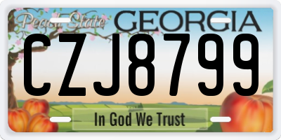 GA license plate CZJ8799