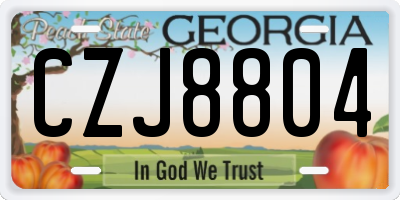 GA license plate CZJ8804