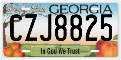 GA license plate CZJ8825