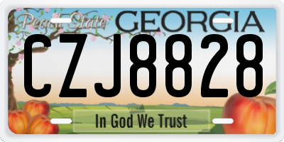 GA license plate CZJ8828