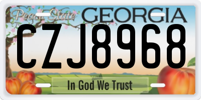 GA license plate CZJ8968