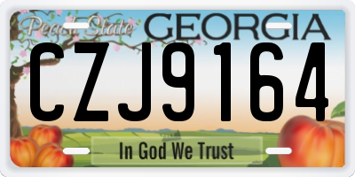GA license plate CZJ9164