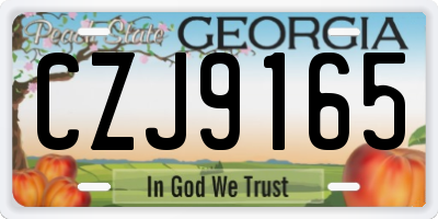 GA license plate CZJ9165