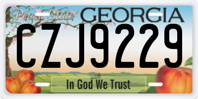 GA license plate CZJ9229