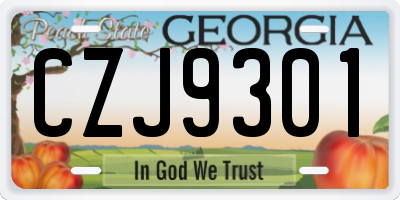 GA license plate CZJ9301
