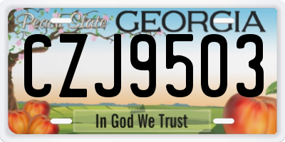 GA license plate CZJ9503