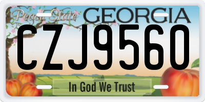 GA license plate CZJ9560
