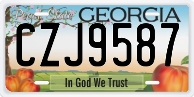 GA license plate CZJ9587