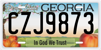 GA license plate CZJ9873